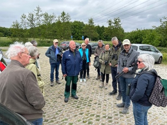 (Bentwoud). Foto van - Onbekend.
Evaluatie